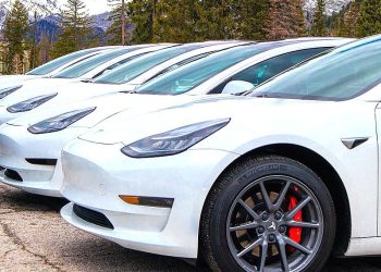 Les fonctionnalités cachées de Tesla Full Self-Driving v14 &lsquo;Lite&rsquo; : ce que vous devez savoir !