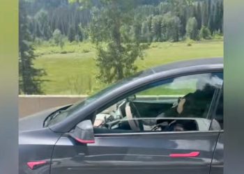Cet automobiliste Tesla endormi à 100 km/h : la faille du système de surveillance qui pourrait vous surprendre !